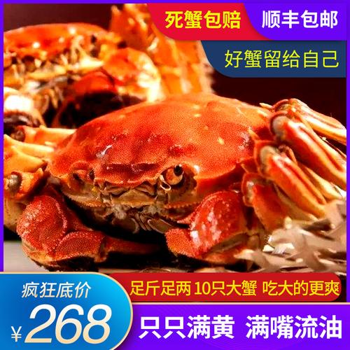 阳澄湖大闸蟹多少钱一只？