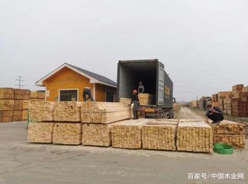 中国有哪些木材交易市场，主要的
