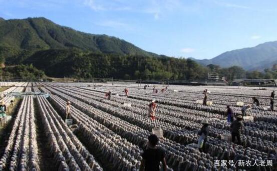 全国四大木耳基地是哪四个？