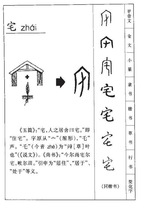 宅映像的介绍