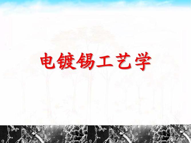 电镀锡 方程式