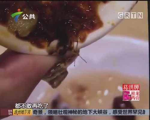 广州城建职业学院食堂饭菜出现蟑螂，官方是如何回应的？
