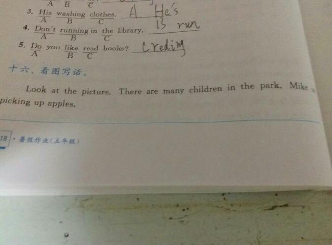 求帮忙写英语作文 关于骆驼被砍四肢乞讨现象的 100字左右