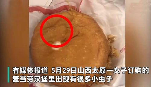 麦当劳外带汉堡现活蛆，大家都吃过哪些更让人恶心的食物？