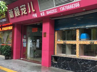佛山地区有哪些宠物商店？