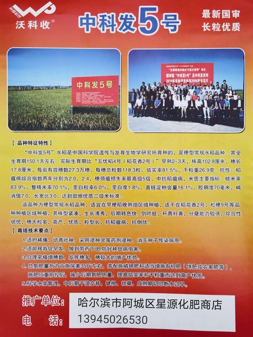 中科3号和中科5号区别是什么？