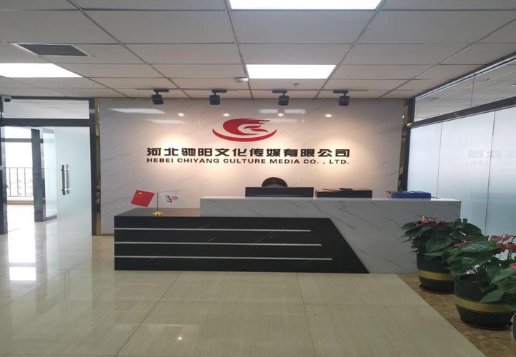 河北蓝光视觉文化传媒有限公司怎么样？