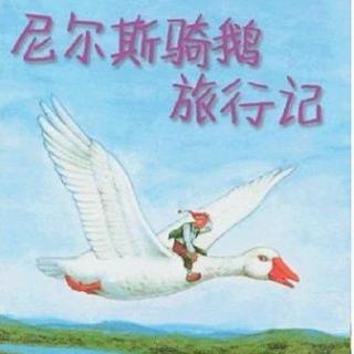 尼尔斯骑鹅旅行记中吃掉卡尔木的狐狸是谁？
