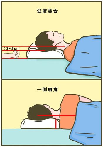 关于枕头的高度