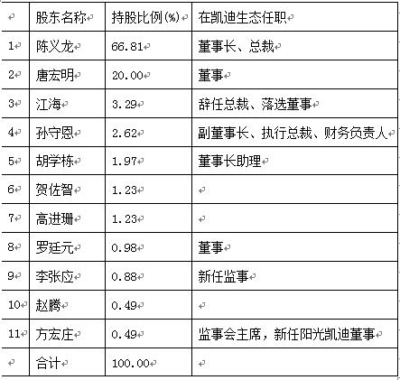 陈金义的负债内幕