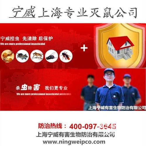 上海灭鼠公司哪家好比较好比较专业？