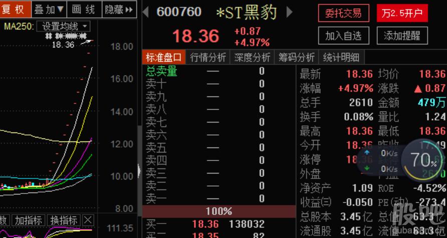 ST黑豹这个股票是什么公司的，具体做什么的啊？