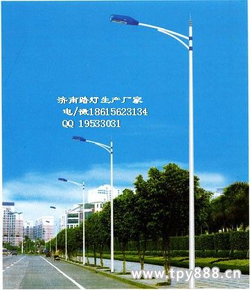 国内有哪些知名的专业路灯厂家？