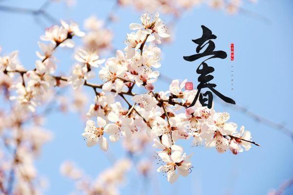 2019立春时间