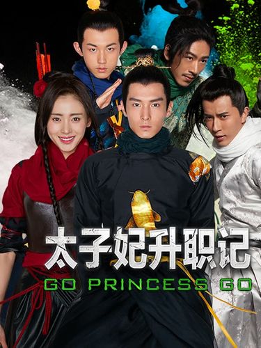 太子妃升职记总共多少集