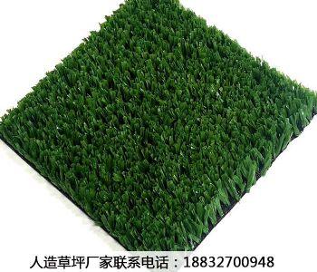 草皮块和草皮卷使用范围有什么不同