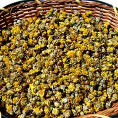野菊花现在什么价格呀？
