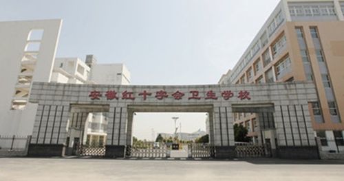 合肥卫校有哪些学校？
