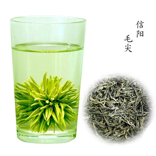 信阳毛尖哪里批发