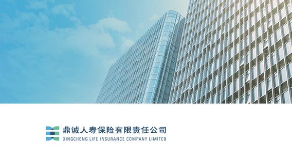 鼎诚统筹保险怎么样