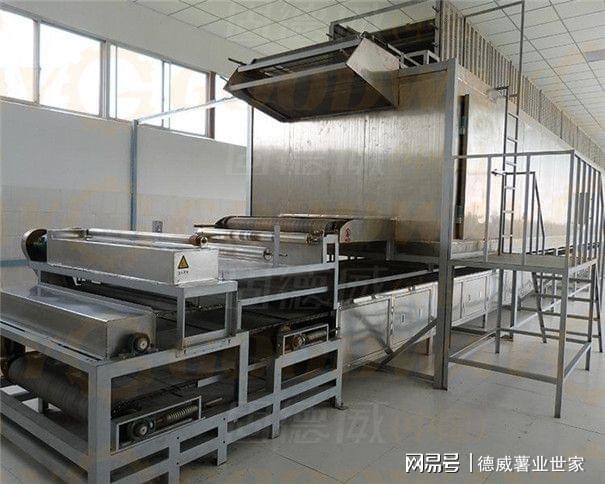 办一个粉条加工厂需要投资多少钱