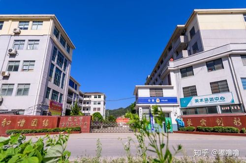 泰顺明德学校和育才中学哪个好