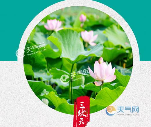 今年入伏是几月几日2022