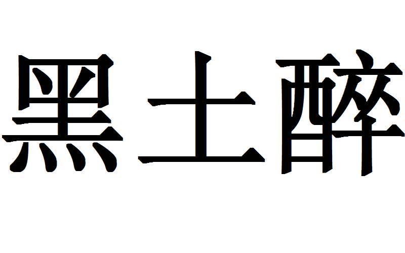 黑土印象注册过商标吗？还有哪些分类可以注册？