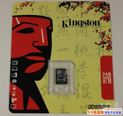 闪迪和金士顿是哪个国家的