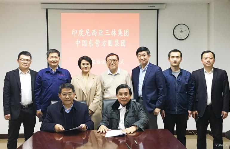 印尼三林集团 怎么样