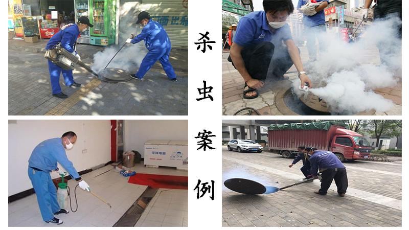 北京正规的消杀公司都有哪些？