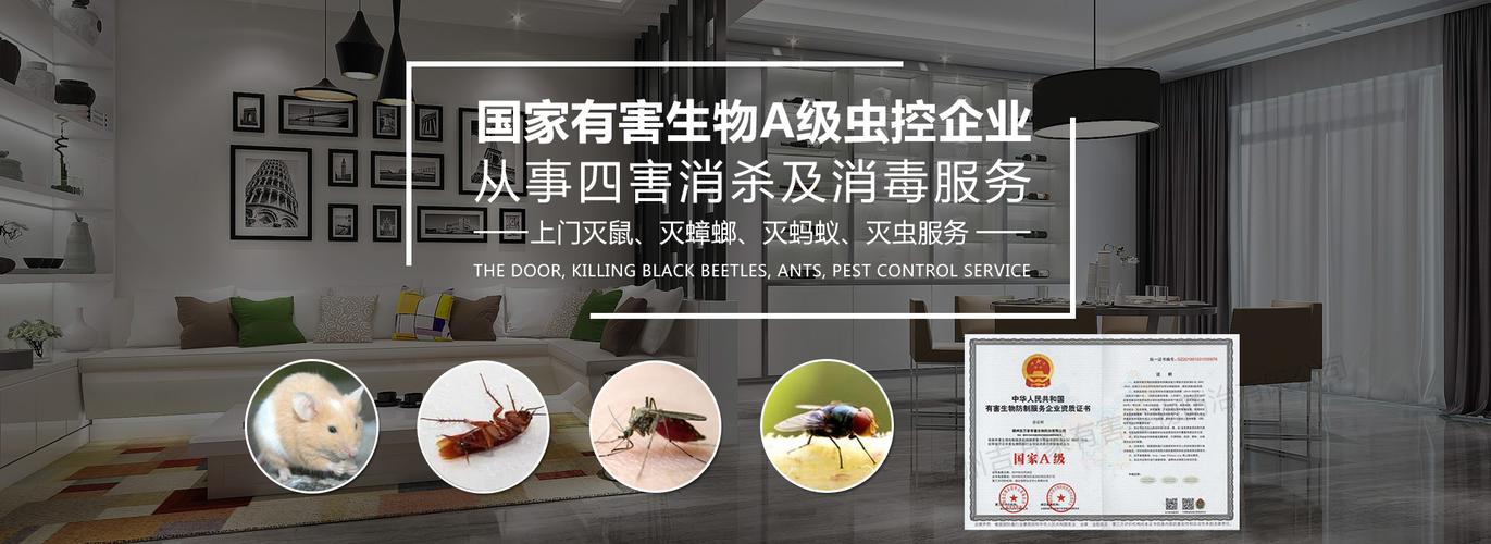 灭蟑螂公司哪家有效果？