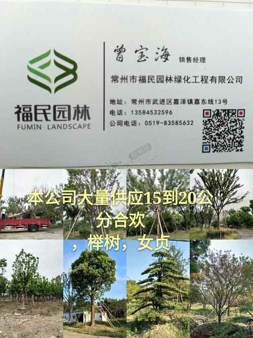淮南志金园林绿化工程有限公司怎么样？
