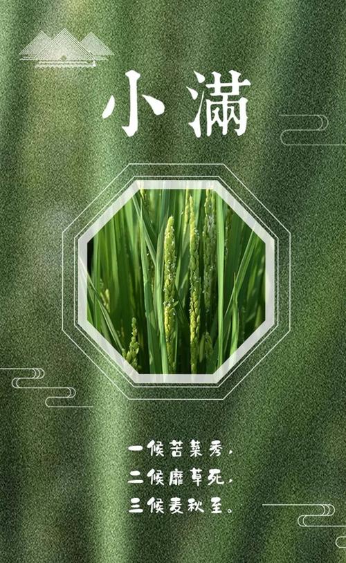 小满未病先防，清热除湿正当时，小满节气应该如何进行养生？