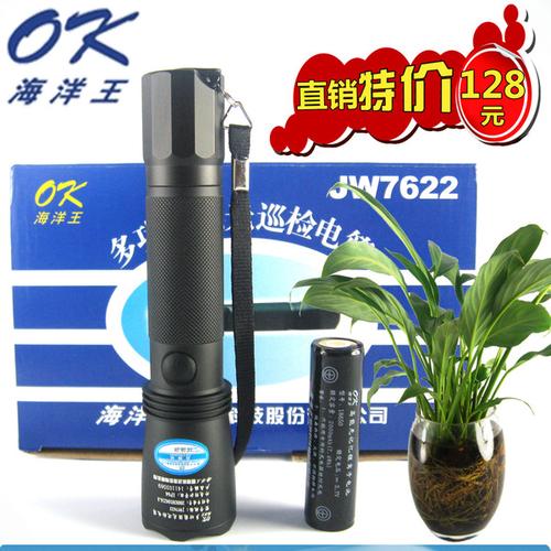 海洋王手电筒rjw7100后面两个孔，哪个是充电的