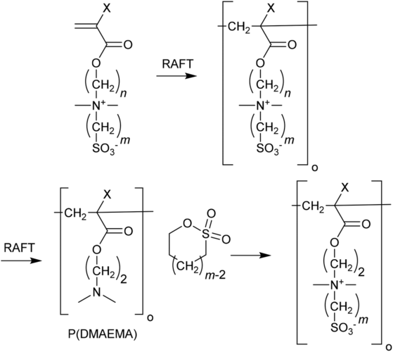 DMAEMA的分子式