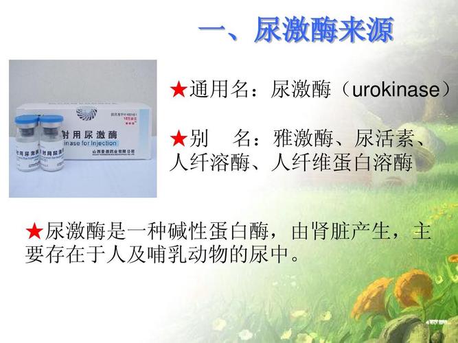 尿激酶怎么提炼出来的？