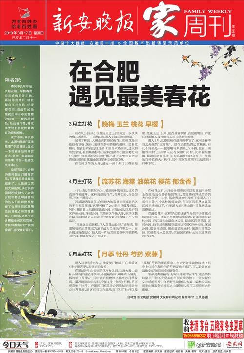 巢湖有哪些报纸 比如环湖晨刊？（除了环湖晨刊和新安晚报） 介绍向同学们介绍新安晚报。