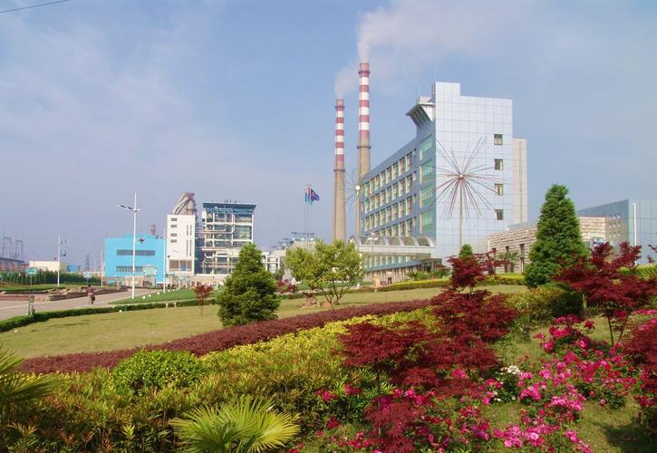 芜湖地区有几家电厂