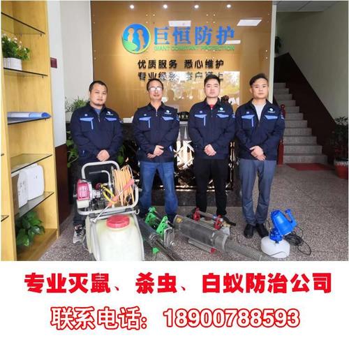 长沙灭鼠公司那个比较好比较正规呢？