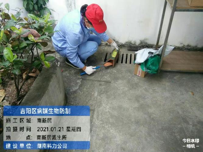 湖南灭鼠公司