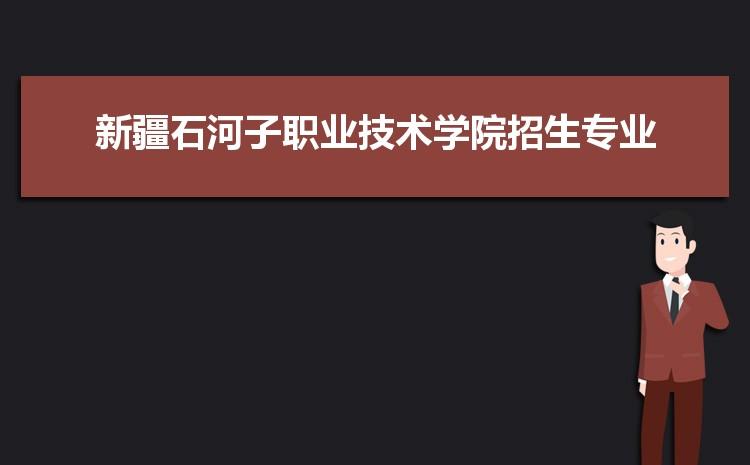 新疆石河子职业技术学院的师资力量