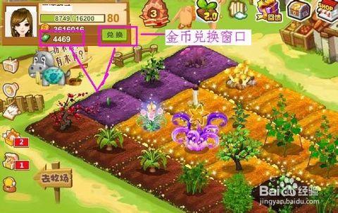 升级黑土地每块各需要多少金币？