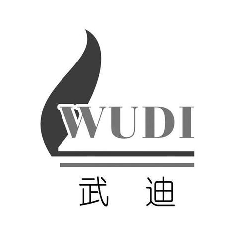武迪公司的产品有人用过吗？