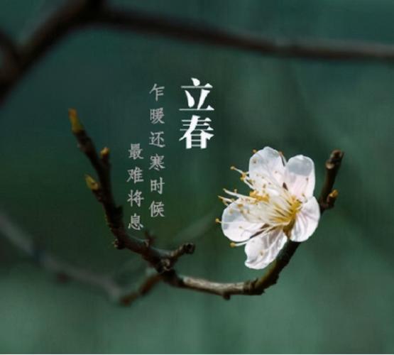 2021年立春具体的时间是几点几分