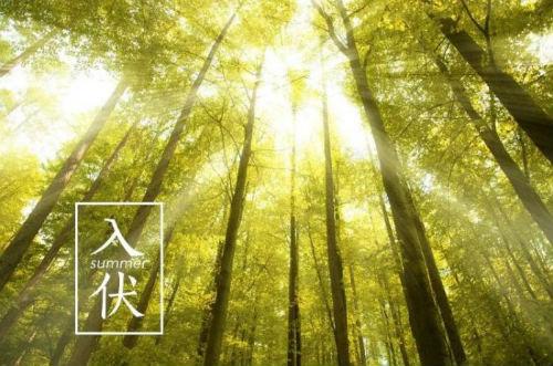 什么时候入伏第一天