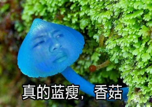 蓝瘦香菇爆红原因分析，蓝瘦香菇是个什么梗