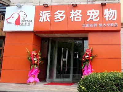 上海宠物店加盟一般需要多少钱？