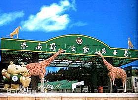 济南野生动物园门票多少钱