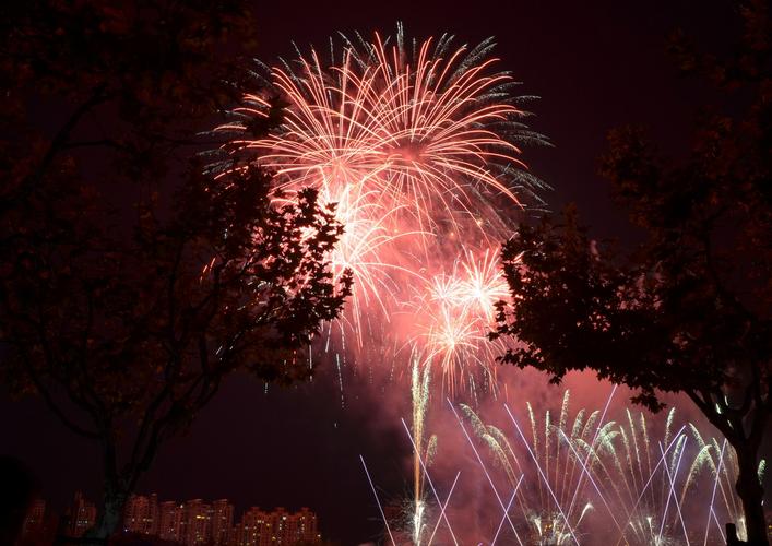 2021上海世纪公园有烟花么